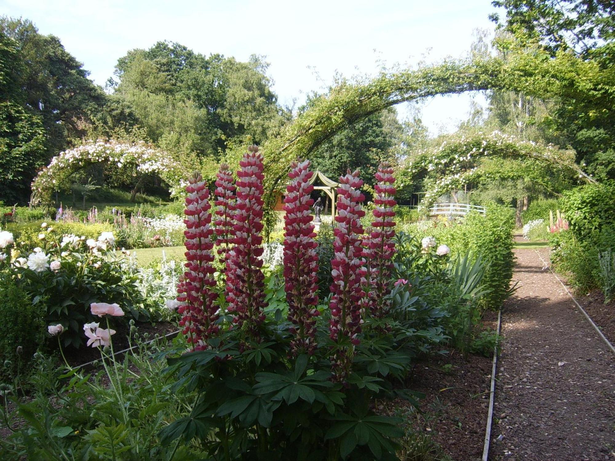 Hotel Passford House Lymington